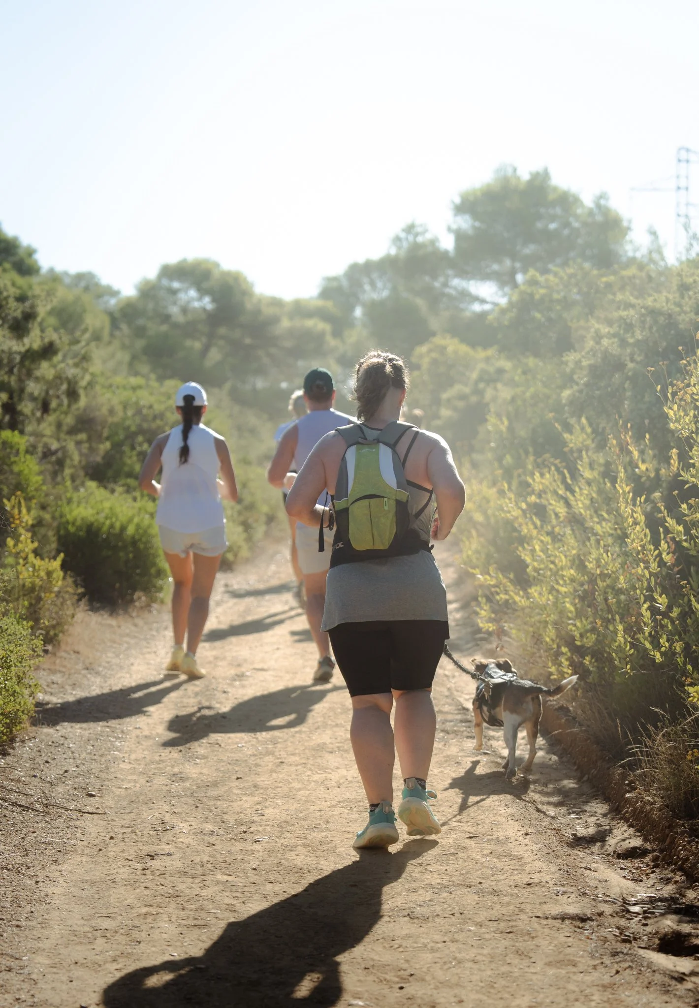 Groupe de personnes faisant une promenade à pied dans la nature, avec un chien, par temps ensoleillé.