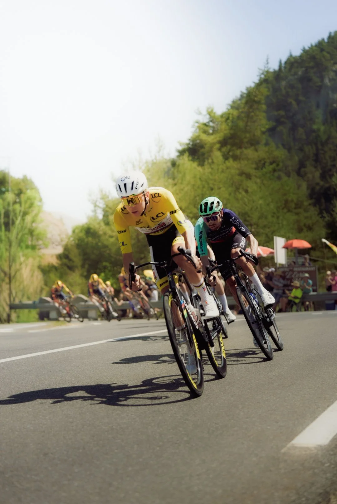 Cyclists racing on a road during a daytime cycling race with a green, tree-lined background.