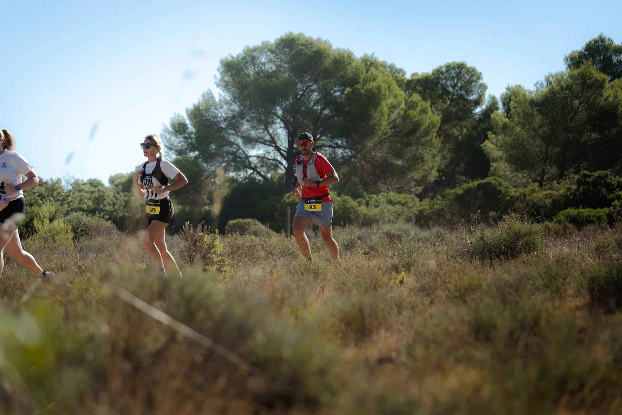 Groupe de personnes faisant du trail en pleine nature, entourées d'arbres et de végétation dense, par une journée ensoleillée.