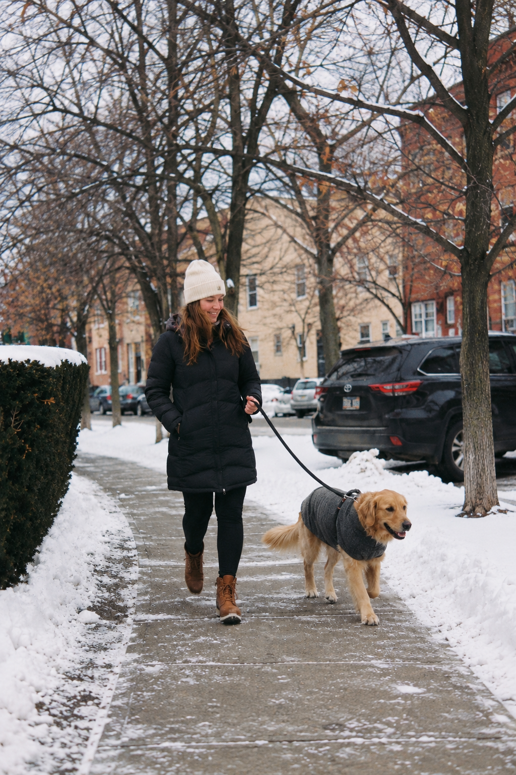 Pet-friendly deicing options for sidewalks, walkways, common areas, courtyards, and designated pet areas at homes, apartment communities, HOAs, townhomes, and multifamily properties throughout Chicago and the surrounding suburbs.