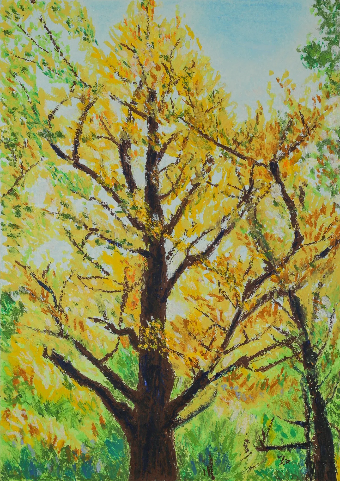 Gingko, Icho Namiki  Looking Through the Canopy (2026)