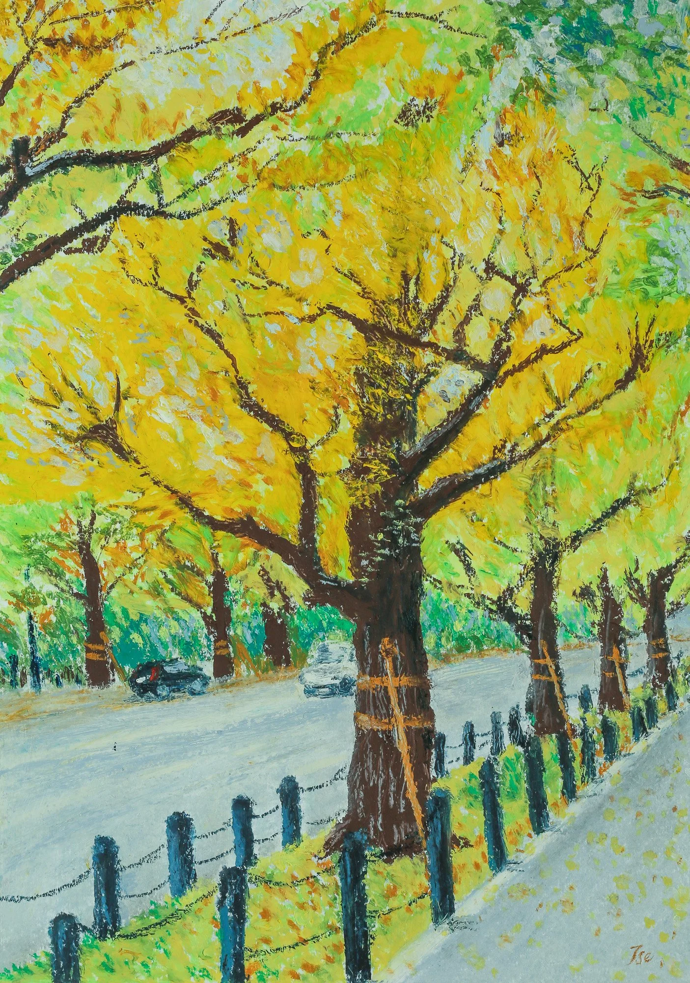 Gingko, Icho Namiki, View from the Sidewalk (2026)