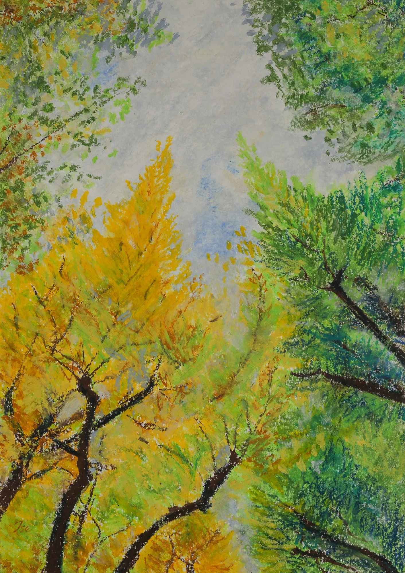 Gingko, Icho Namiki, The Turning Leaves (2026)