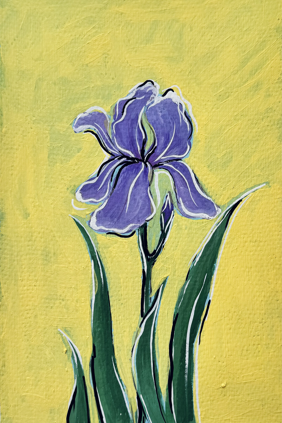 3 Iris.png (Copy)
