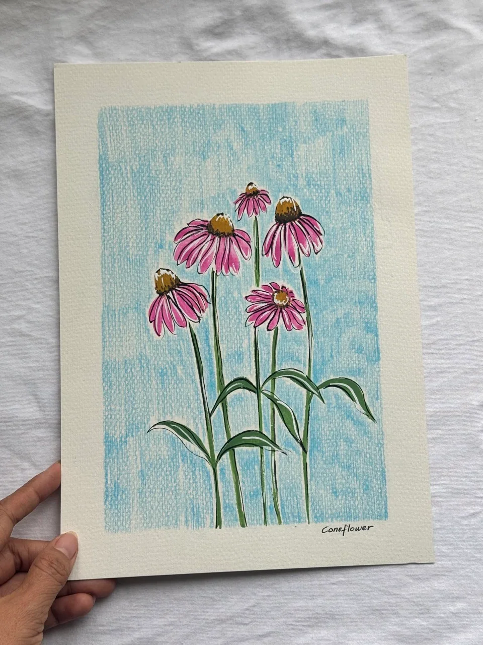 Coneflower–Day 34