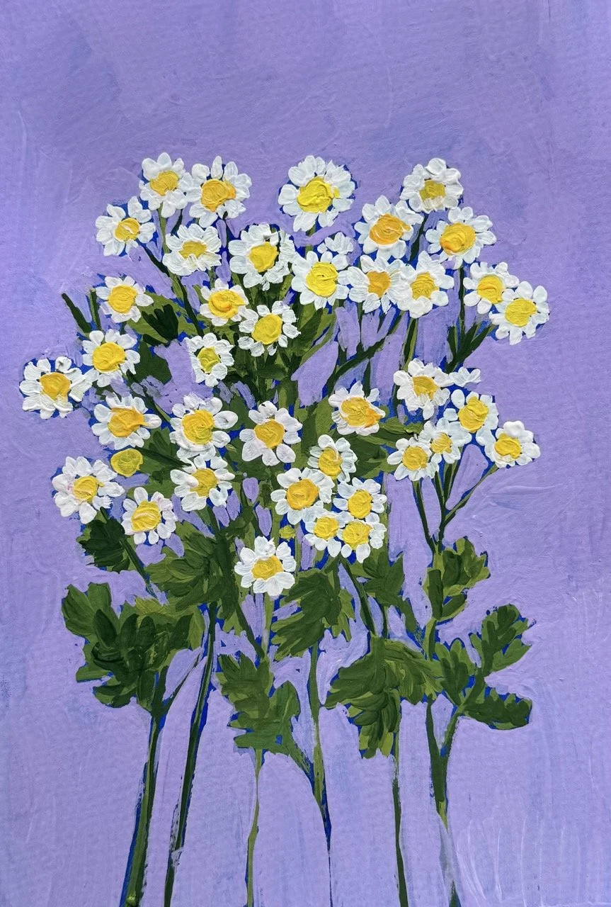45 Feverfew Large.jpeg (Copy)