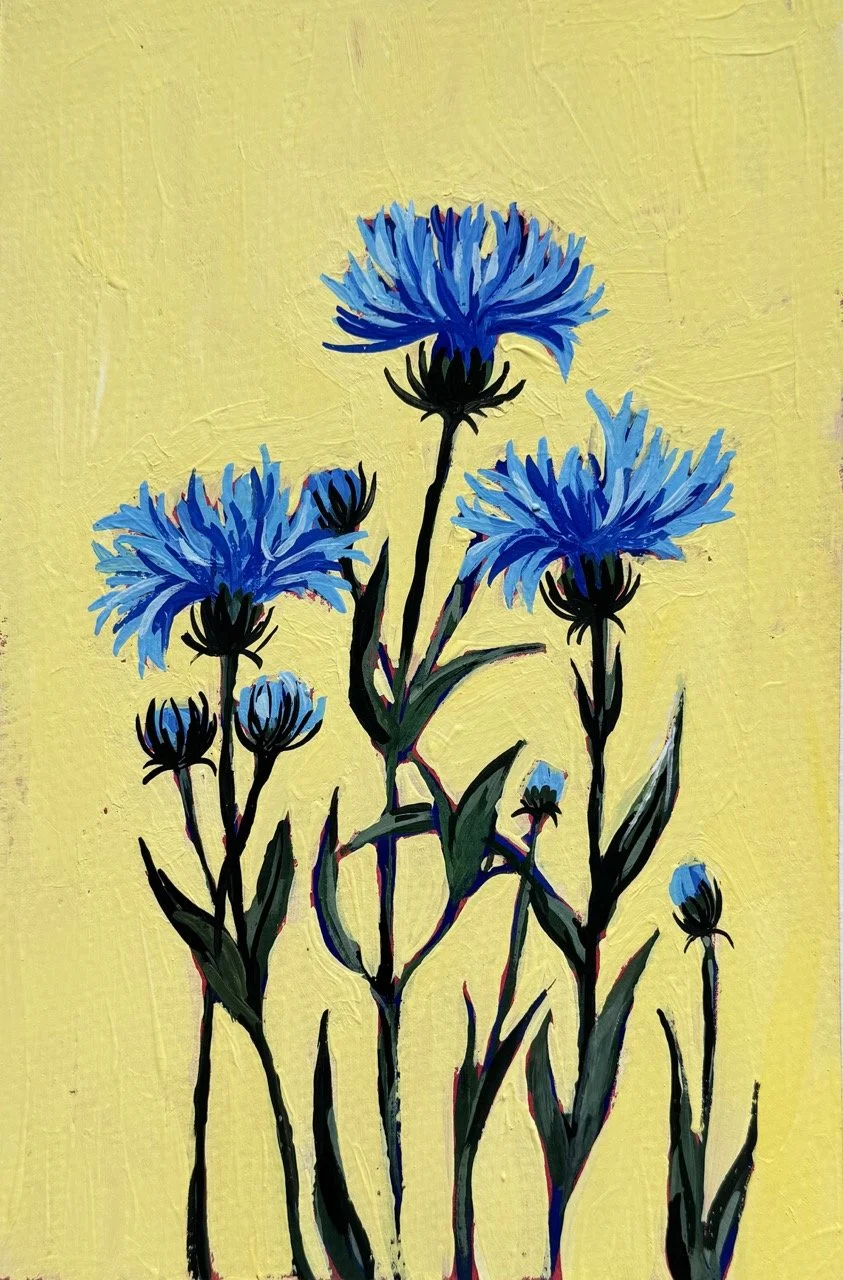 43 Cornflower Large.jpeg (Copy)
