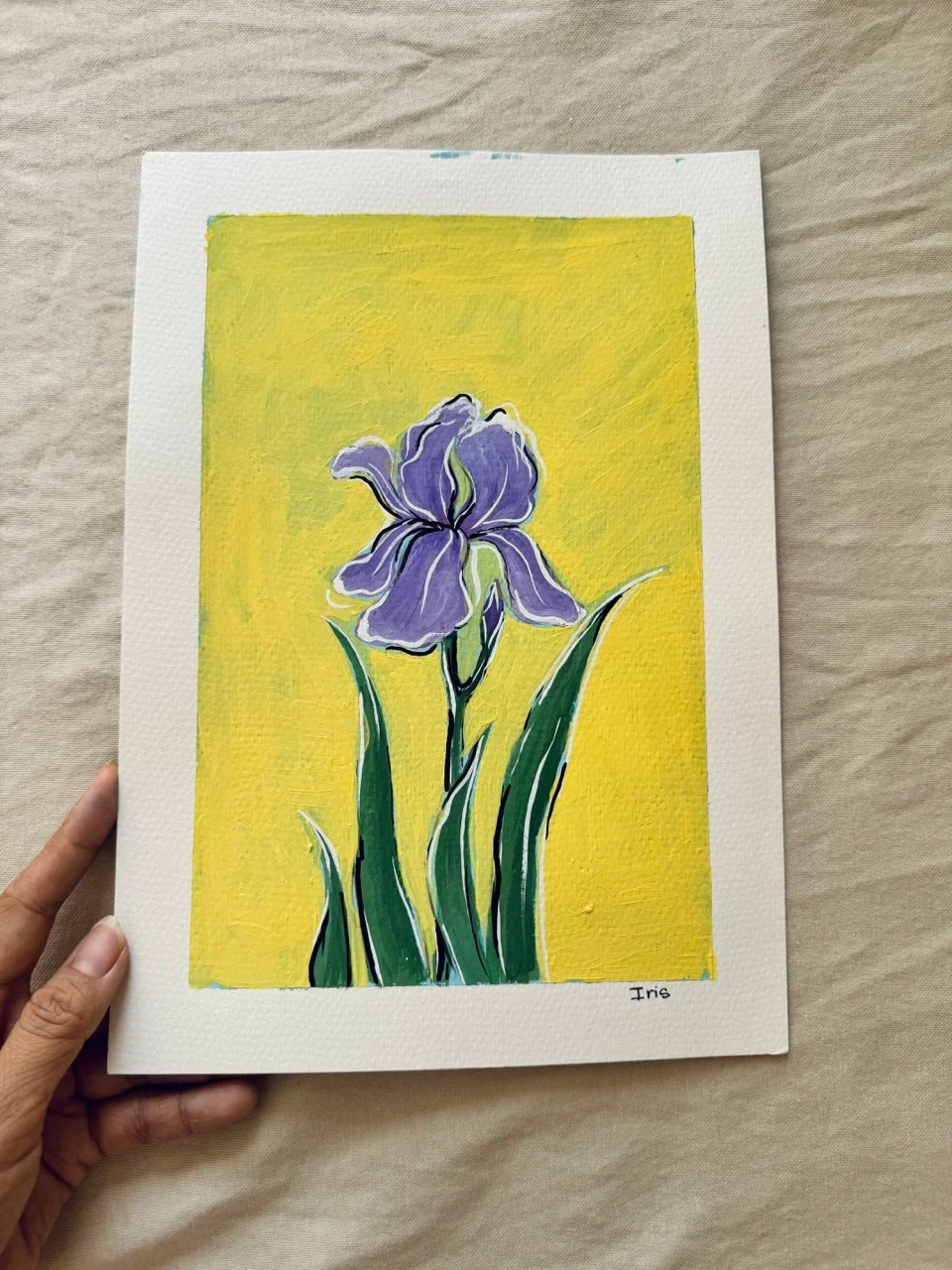 Iris-Day3