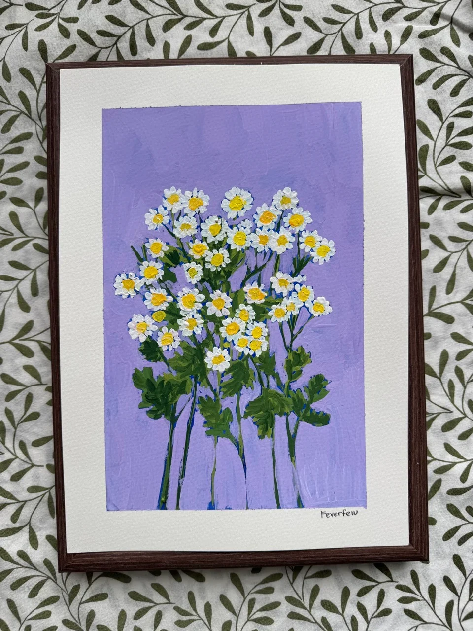 Feverfew – Day 45 .webp