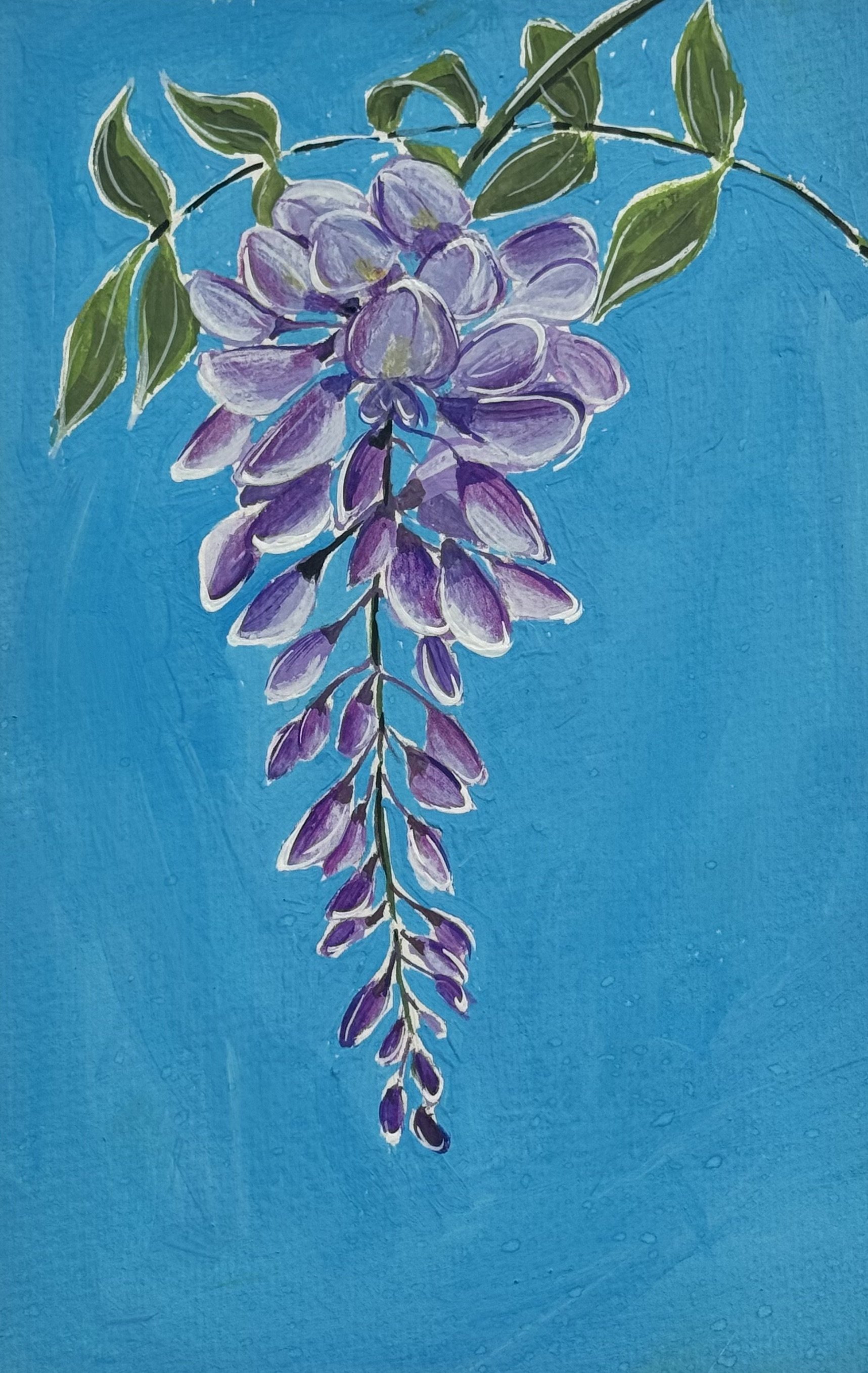 26 Wisteria.jpeg (Copy)