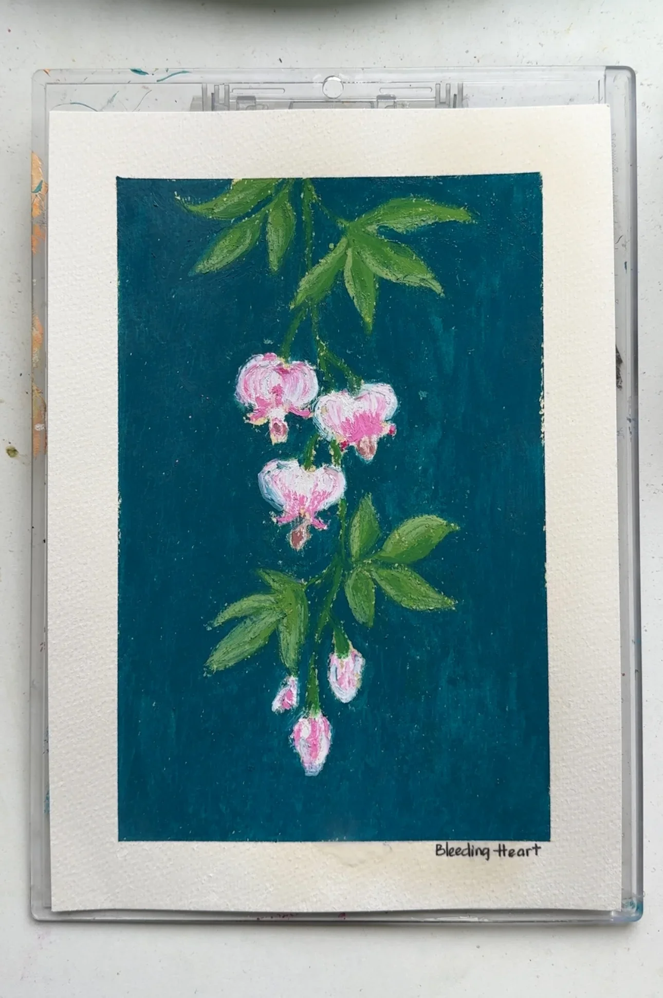 Bleeding Heart–Day 69