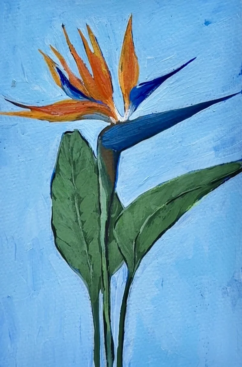 49 Bird of Paradise.jpg (Copy)