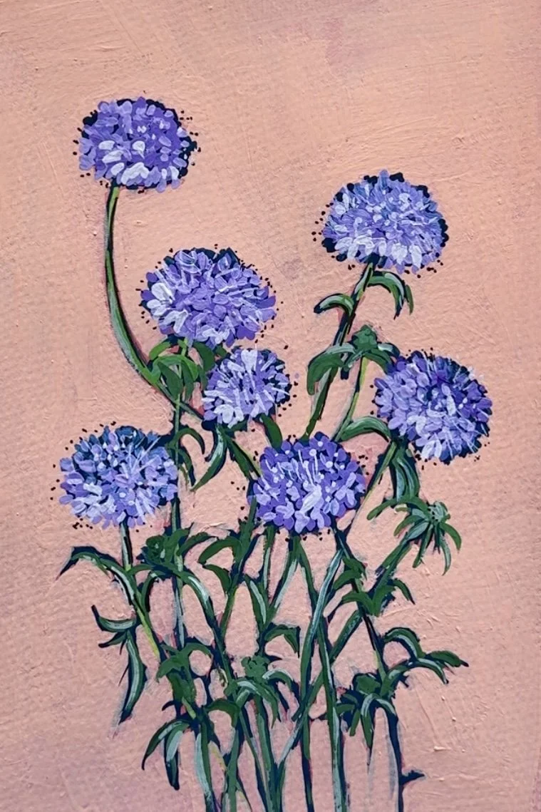 56 Blue Lace.jpg (Copy)