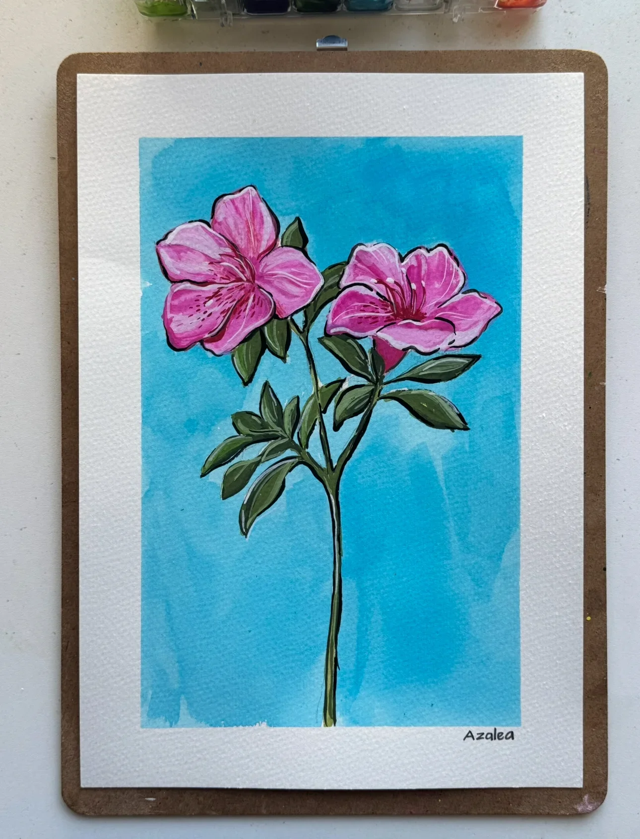 Azalea–Day 75