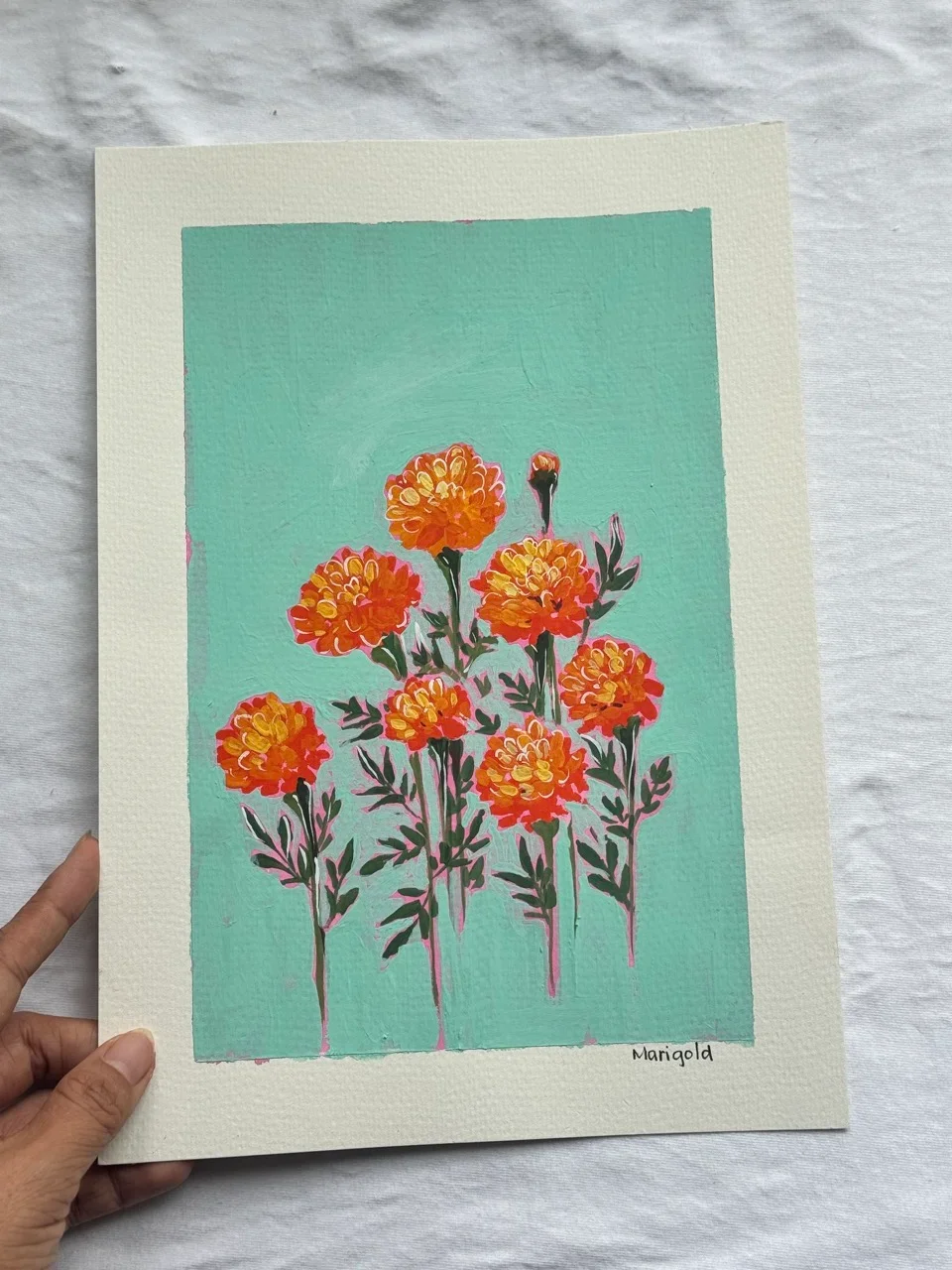 Marigold–Day 25