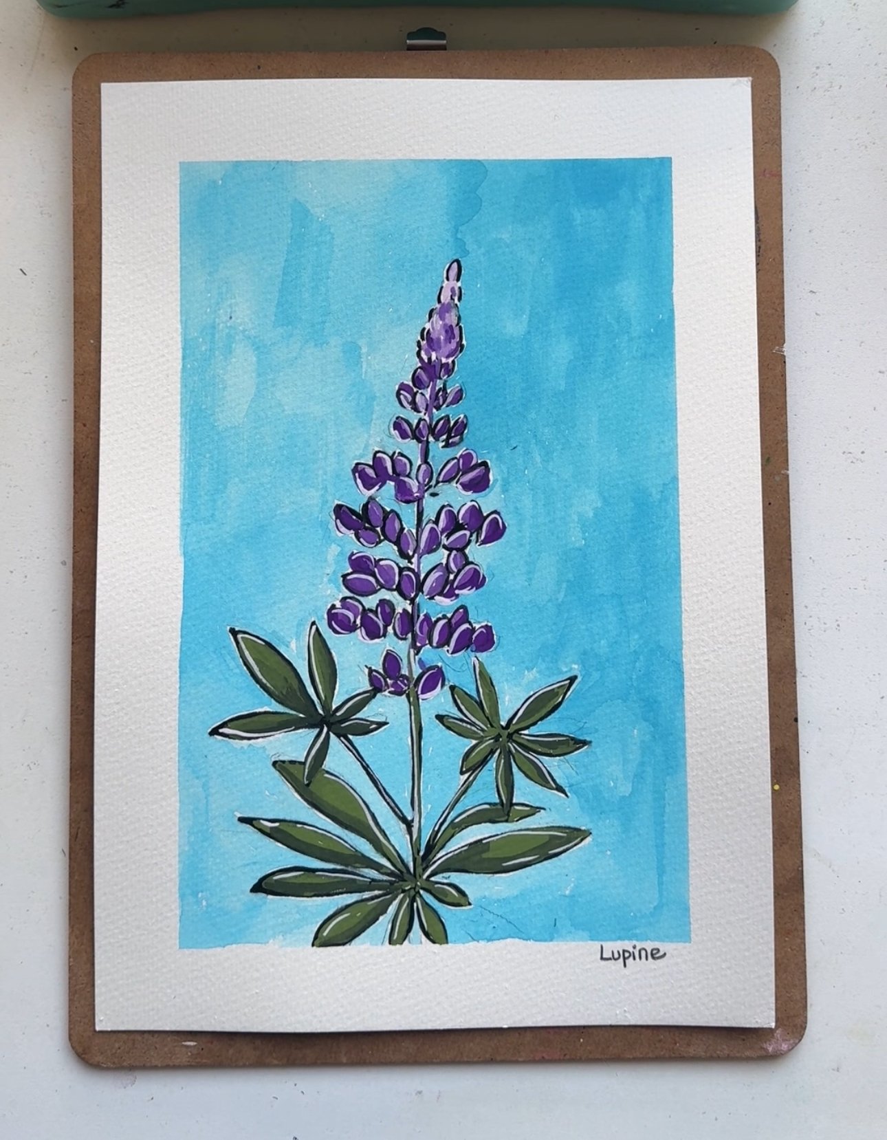 Lupine