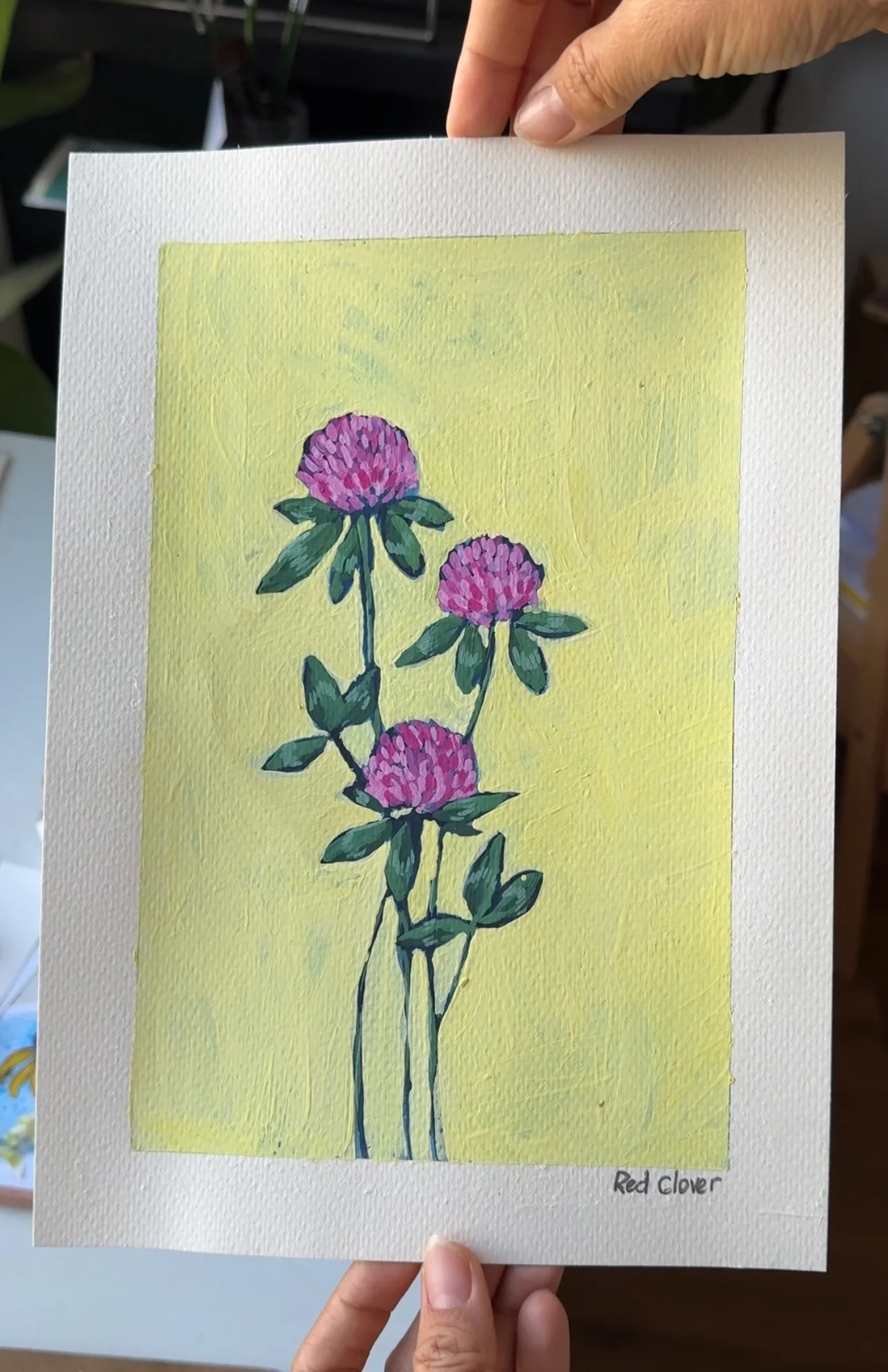 Red Clover–Day 62