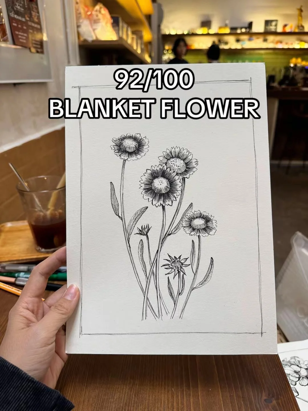 Blanket Flower
