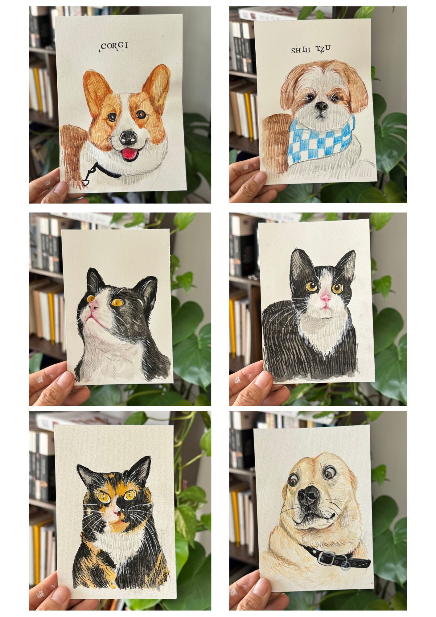 Pet Painting Commission