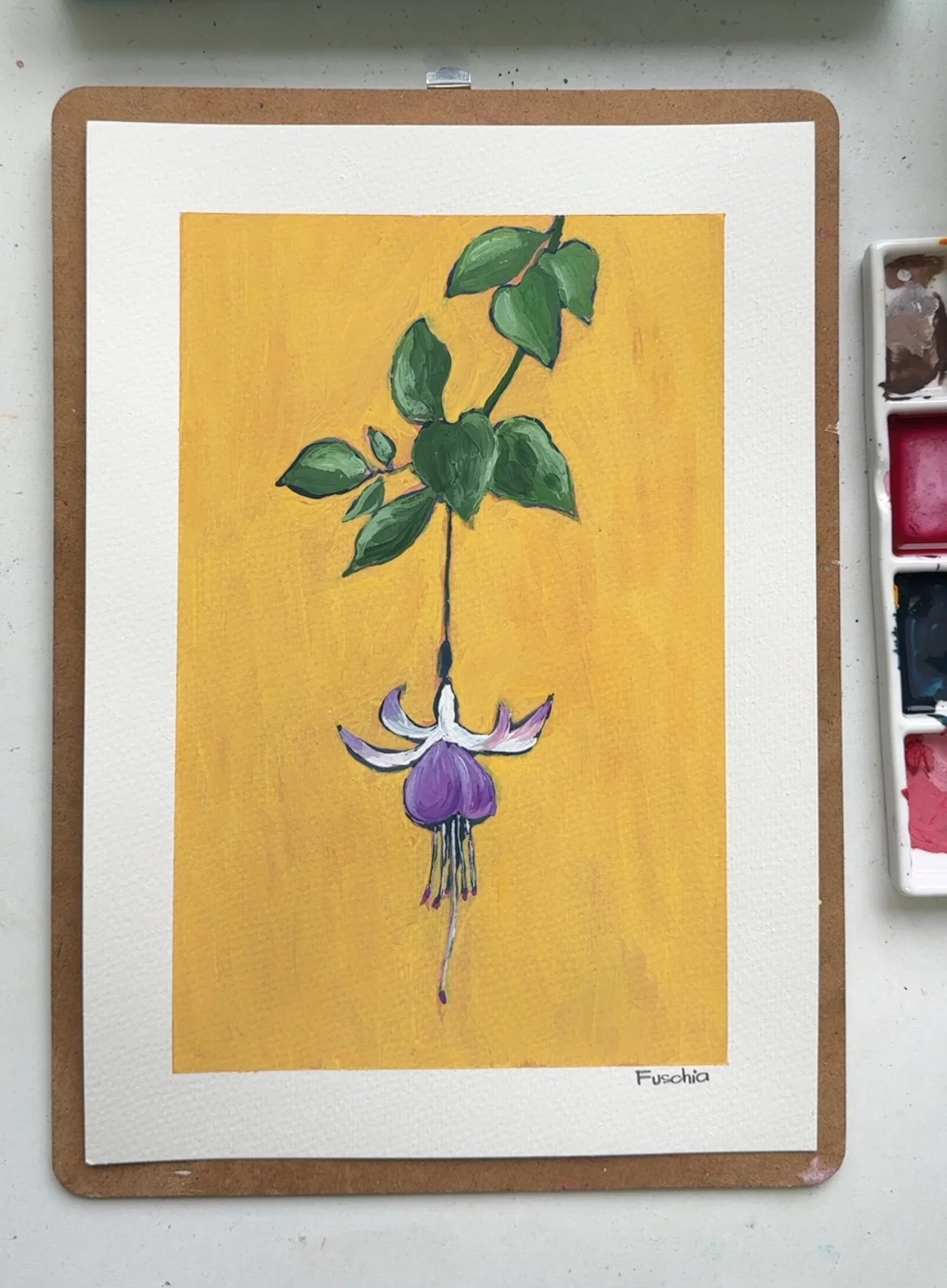 Fuchsia–Day 74