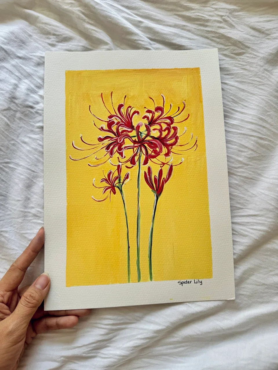 Spider Lily-Day8