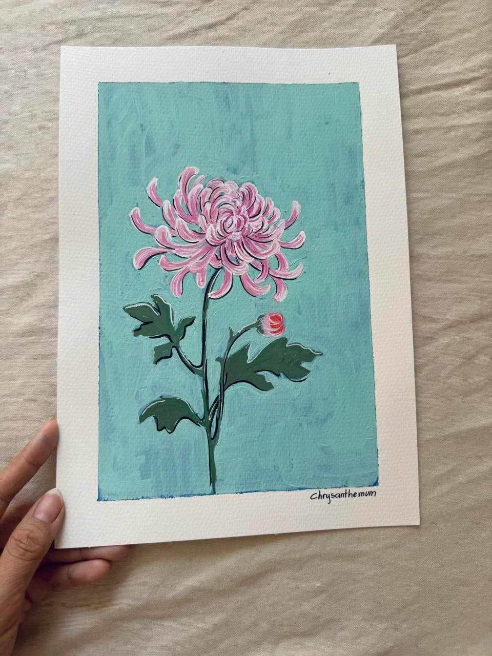 Chrysanthemum–Day 17