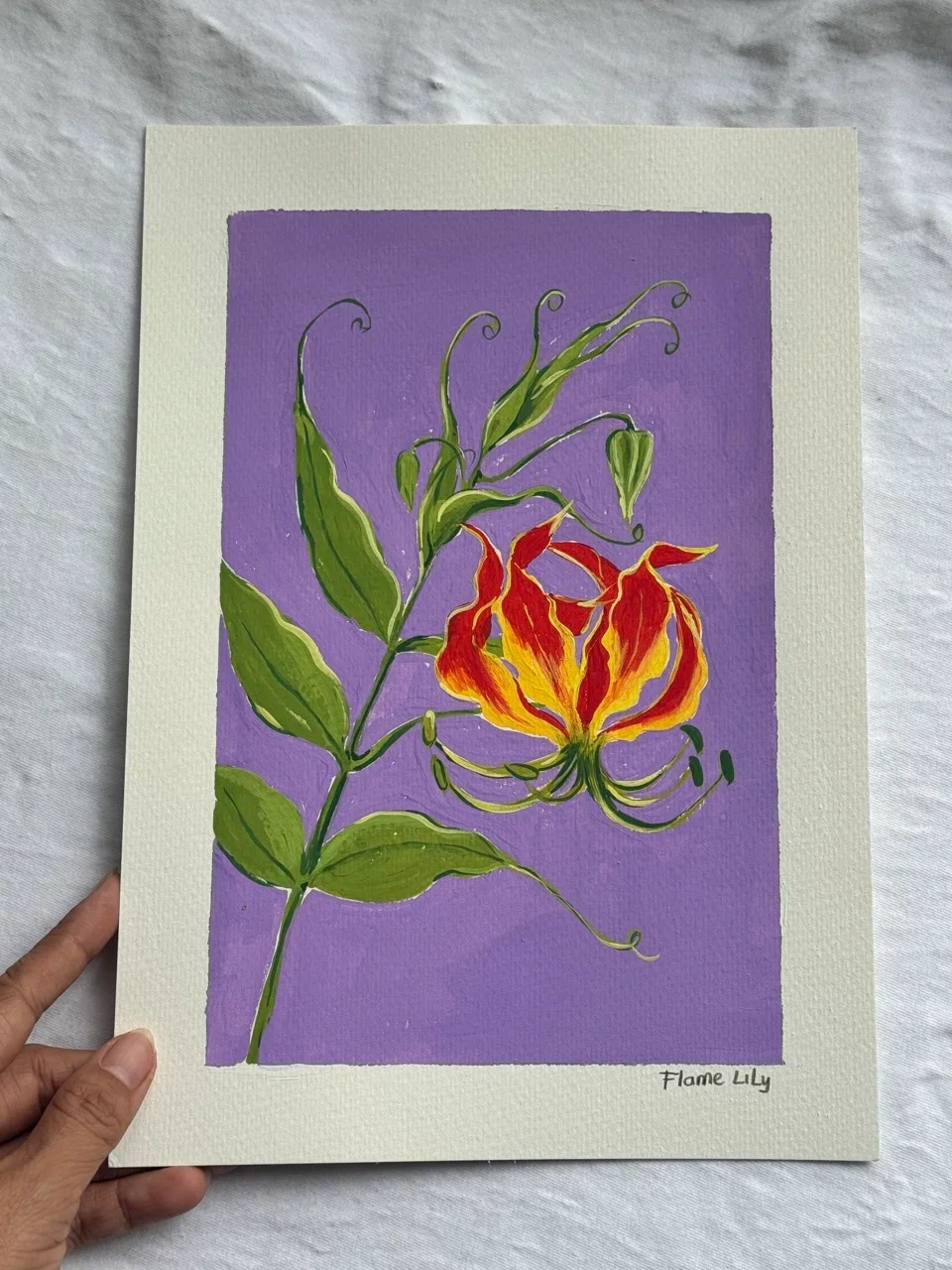Flame Lily–Day 29