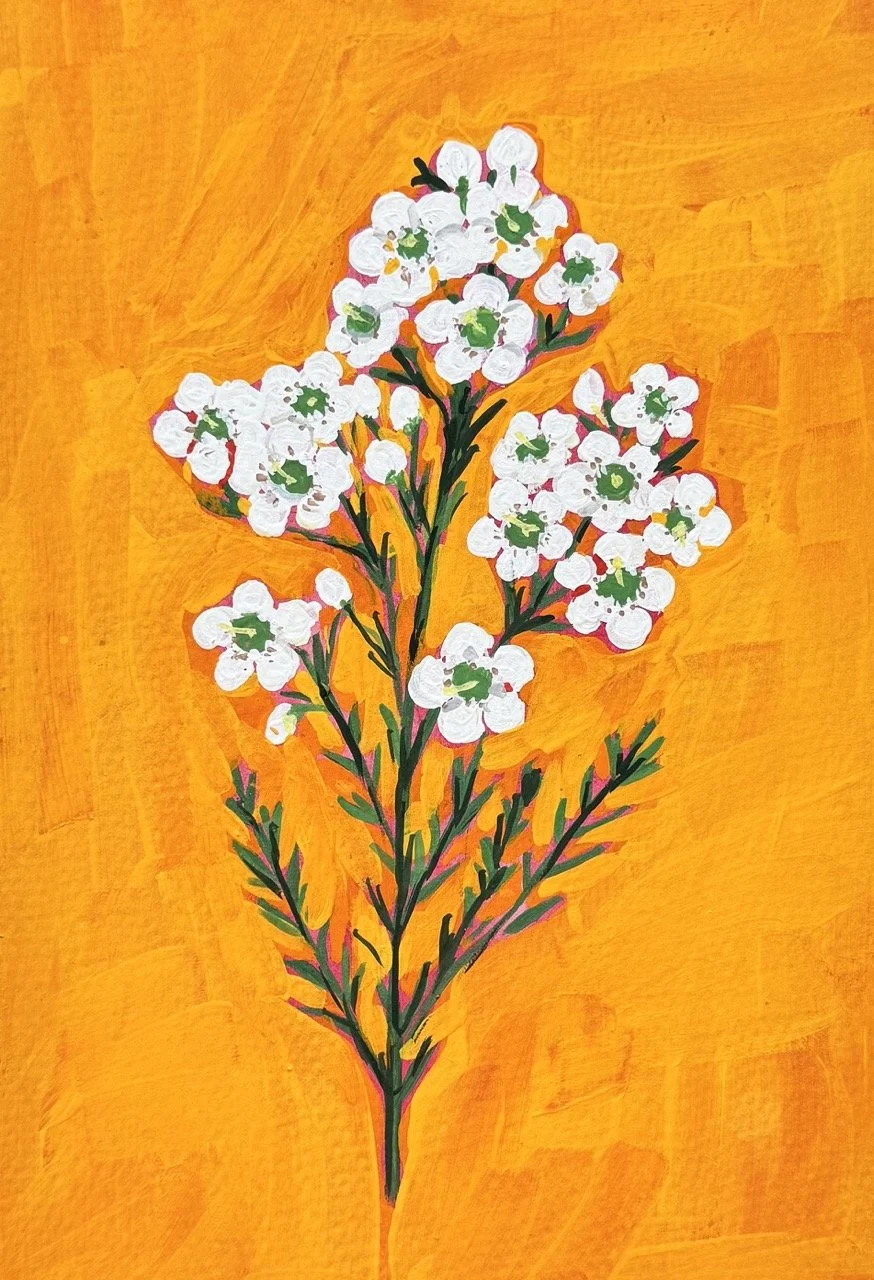 30 wax flower Large.jpeg (Copy)