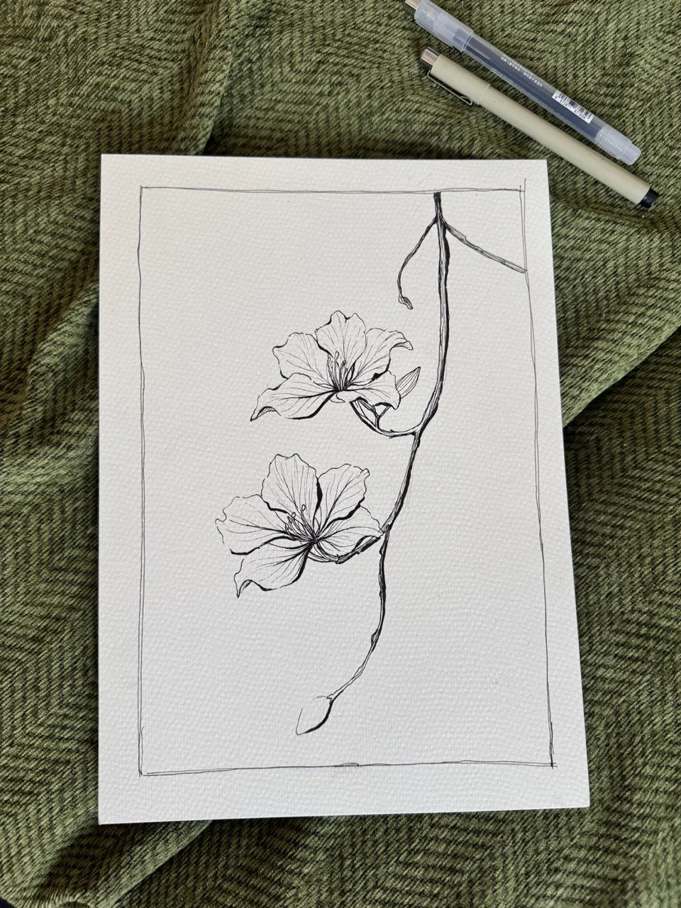 Orchid Tree Flower
