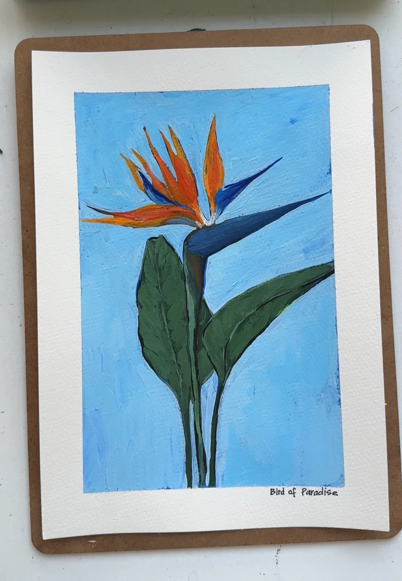 Bird of the Paradise–Day 49