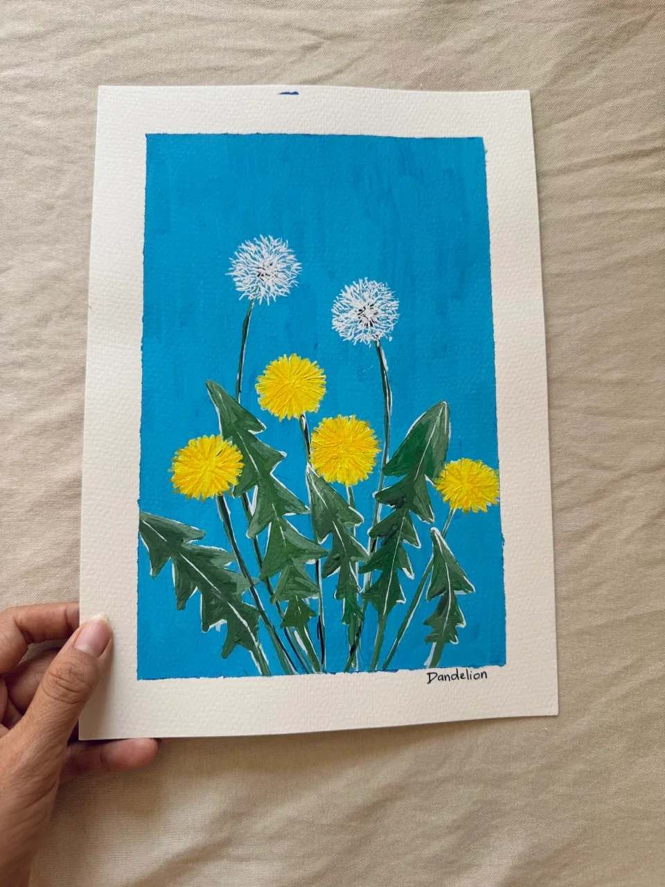 Dandelion–Day 15
