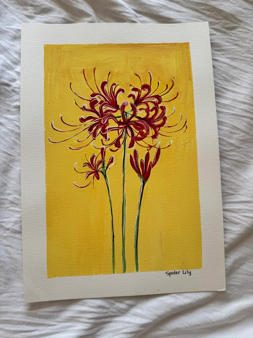 Spider Lily 2.webp