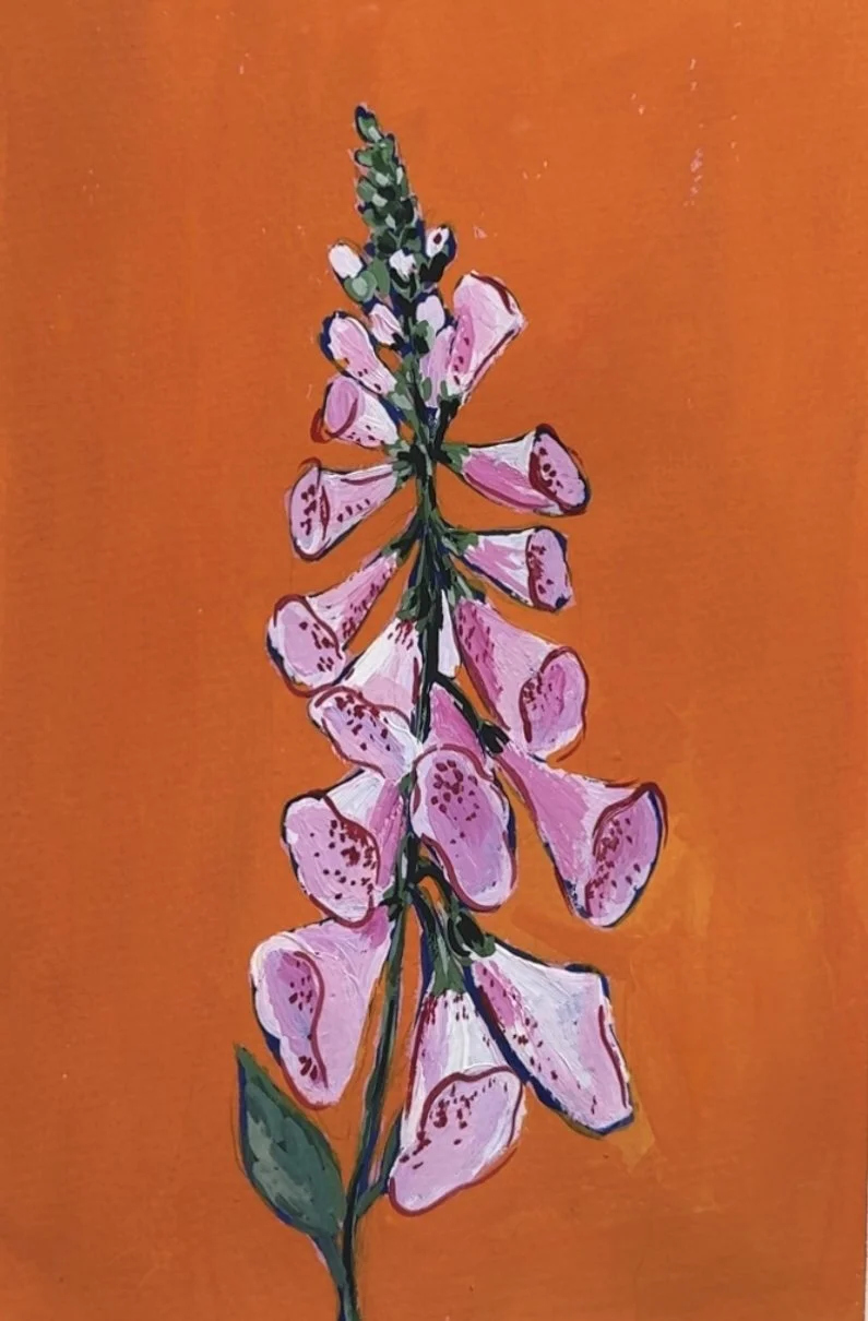 54 Foxgloves.jpg (Copy)