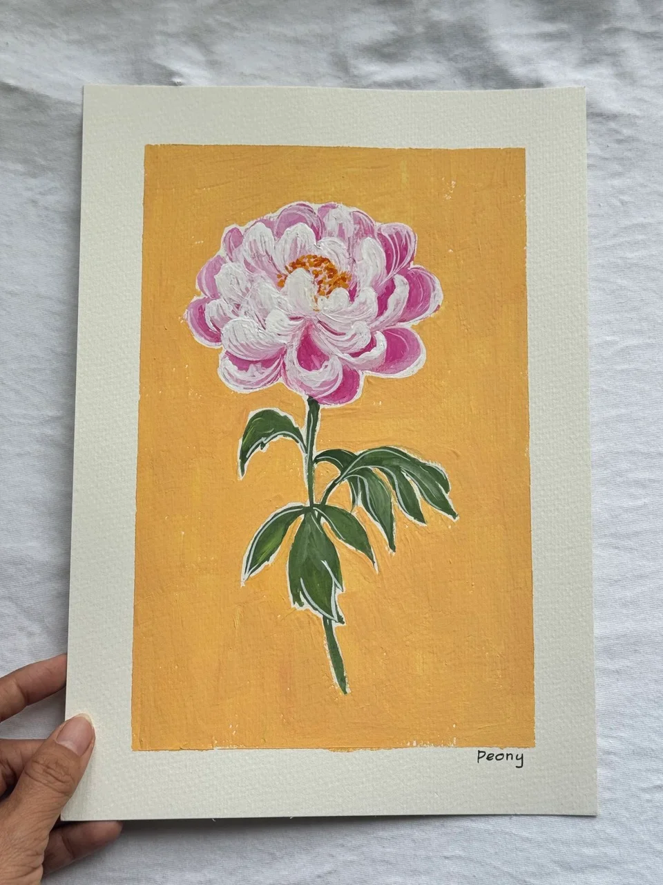 Peony–Day 41
