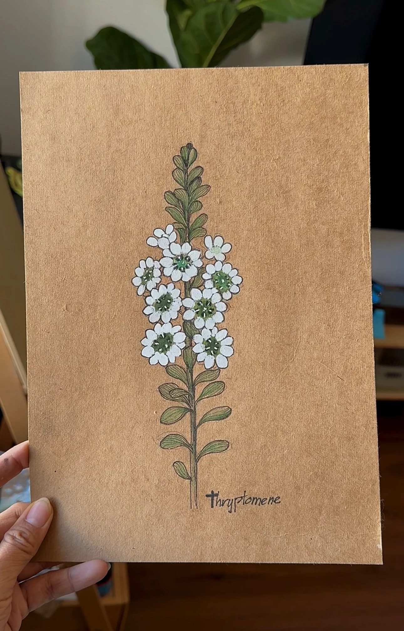 Thrytomene