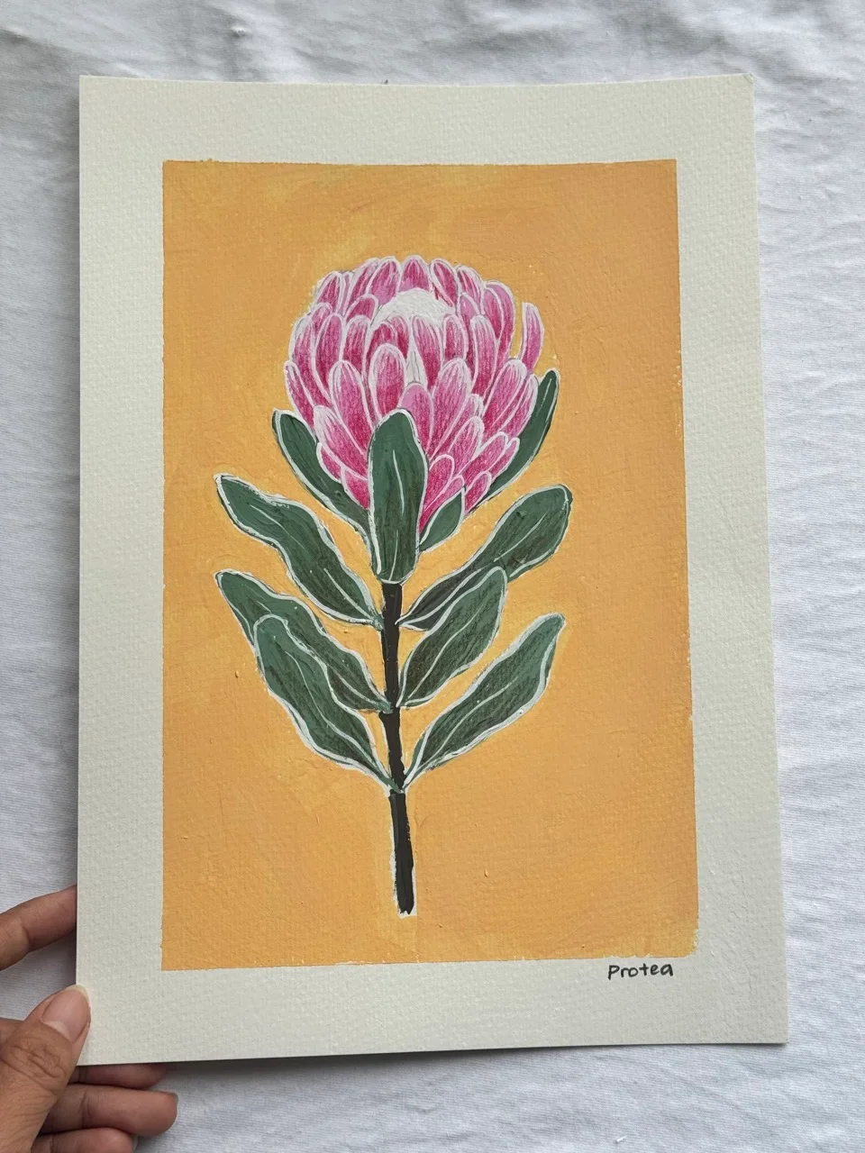 Protea–Day 22