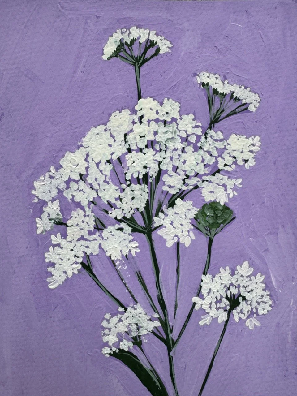 46 Queen Anne's Lace Large.jpeg (Copy)