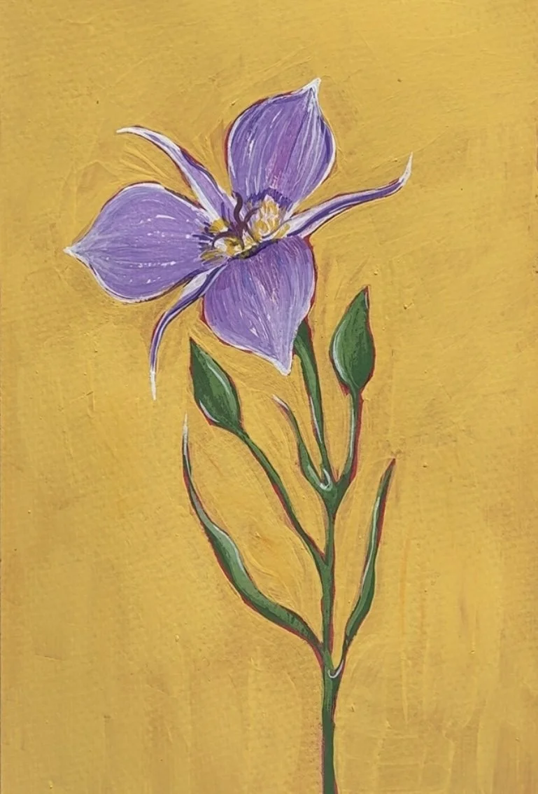 27 Mariposa Lily.jpg (Copy)