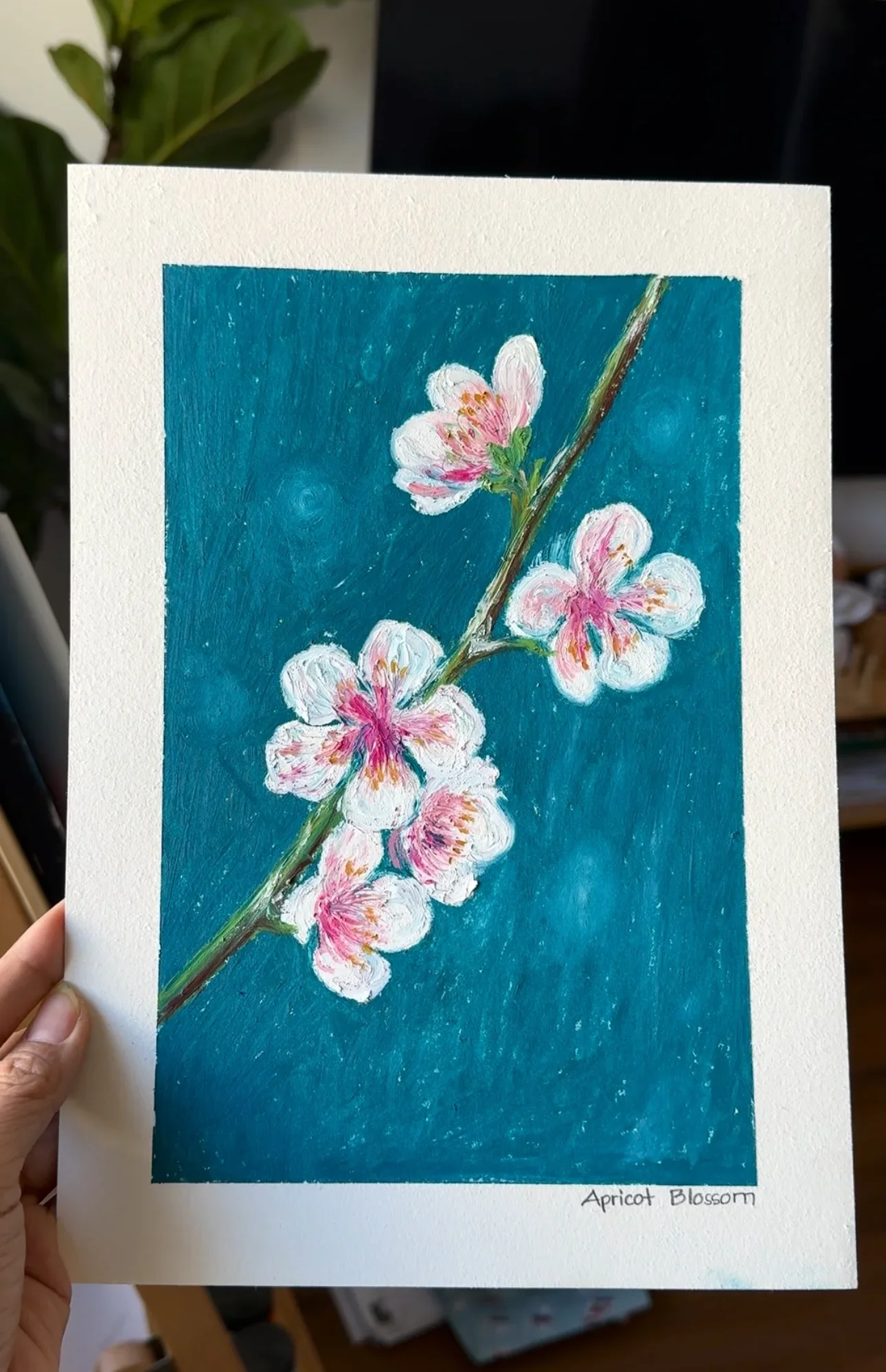 Apricot Blossom–Day 63