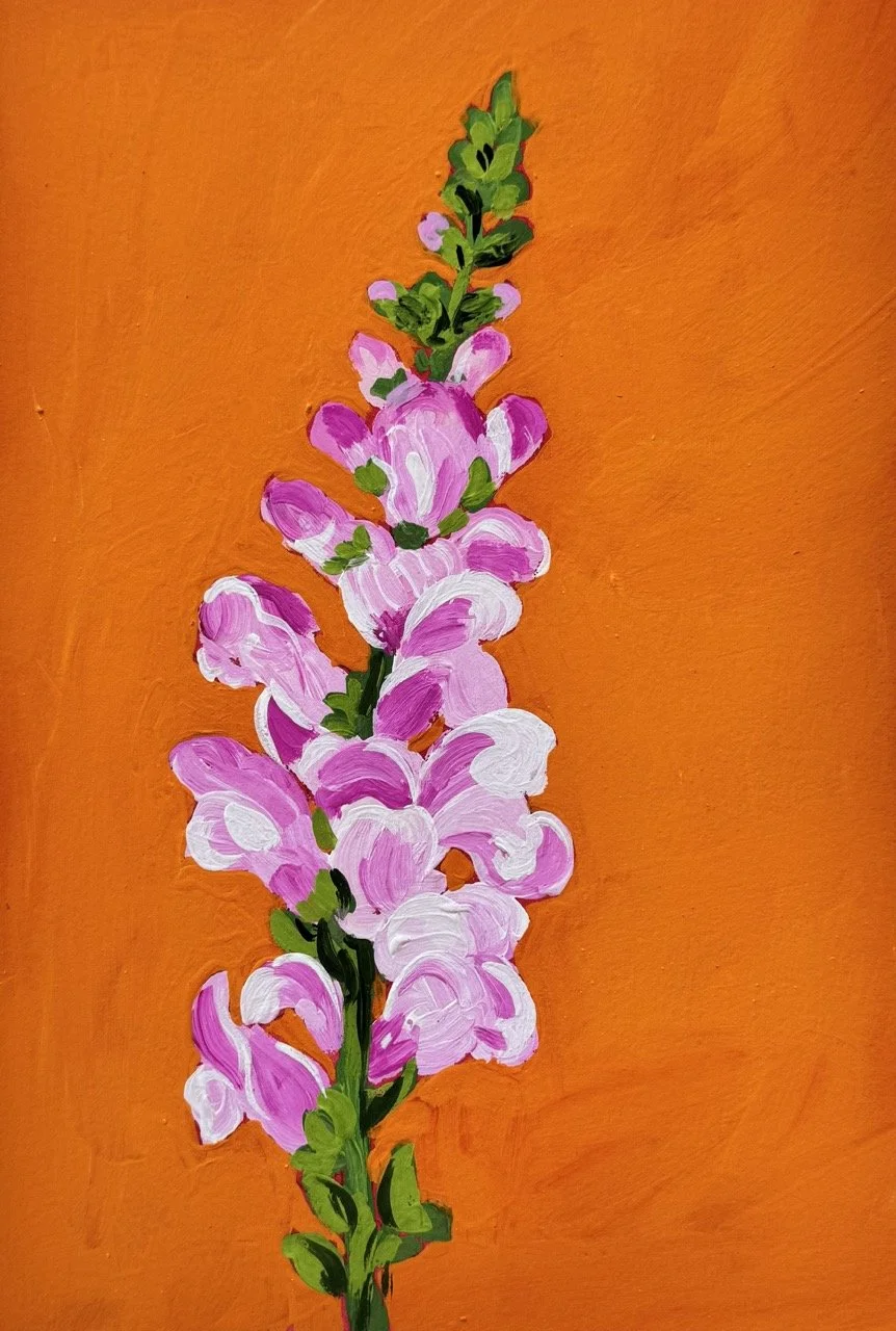 33 Snapdragon Large.jpeg (Copy)