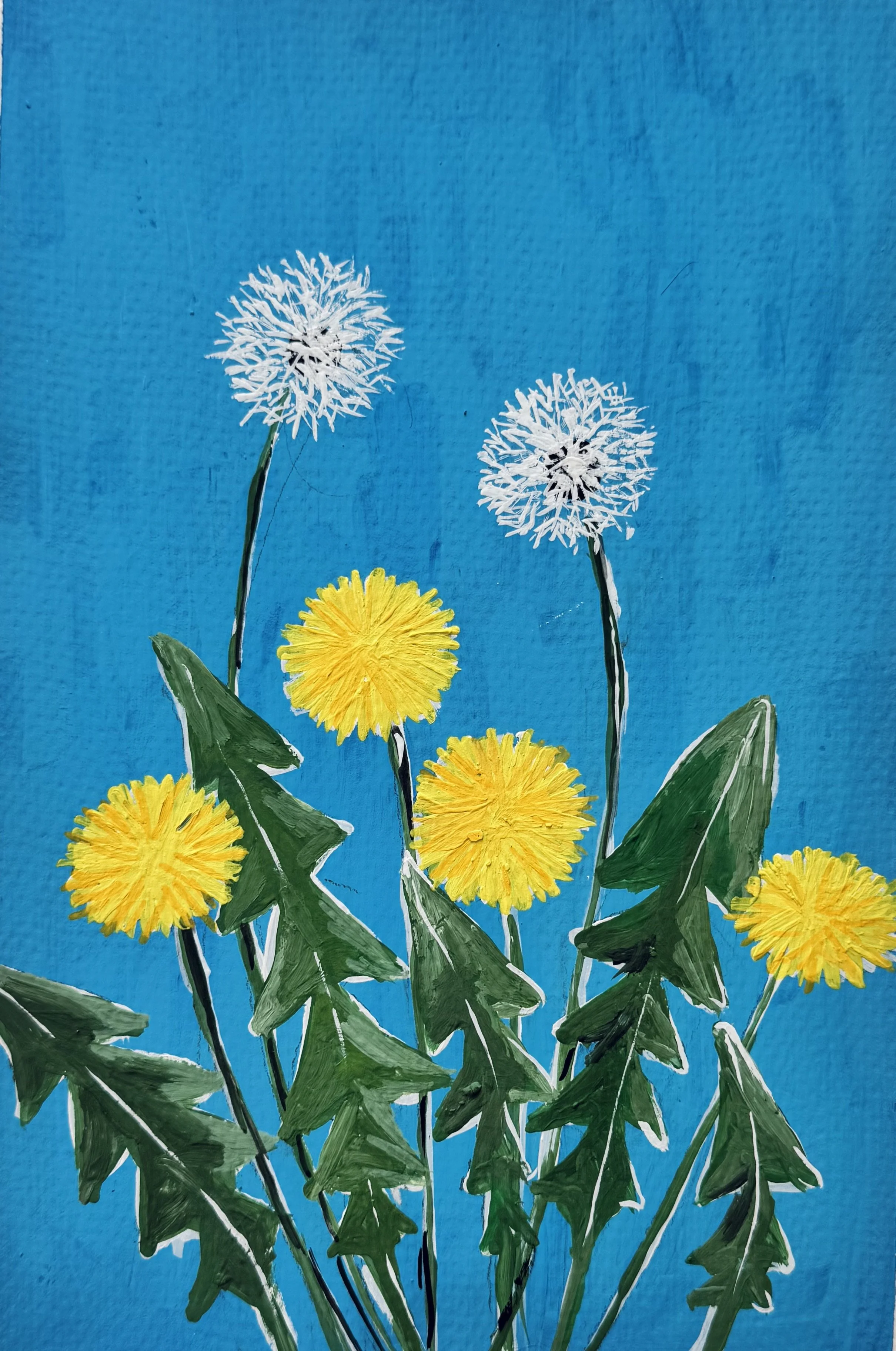 15 Dandelion.jpeg (Copy)