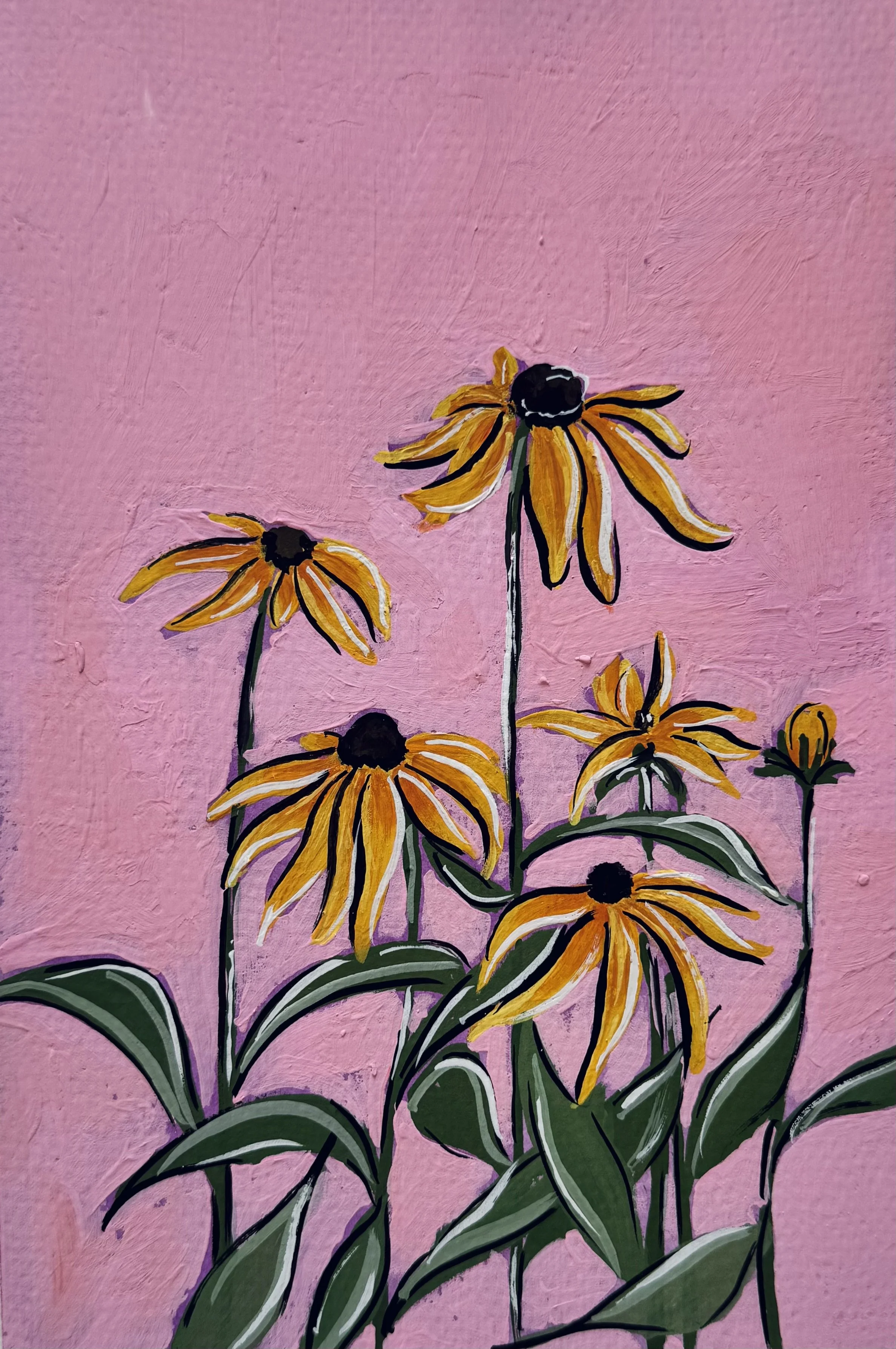 9 Black eyes susan.jpeg (Copy)