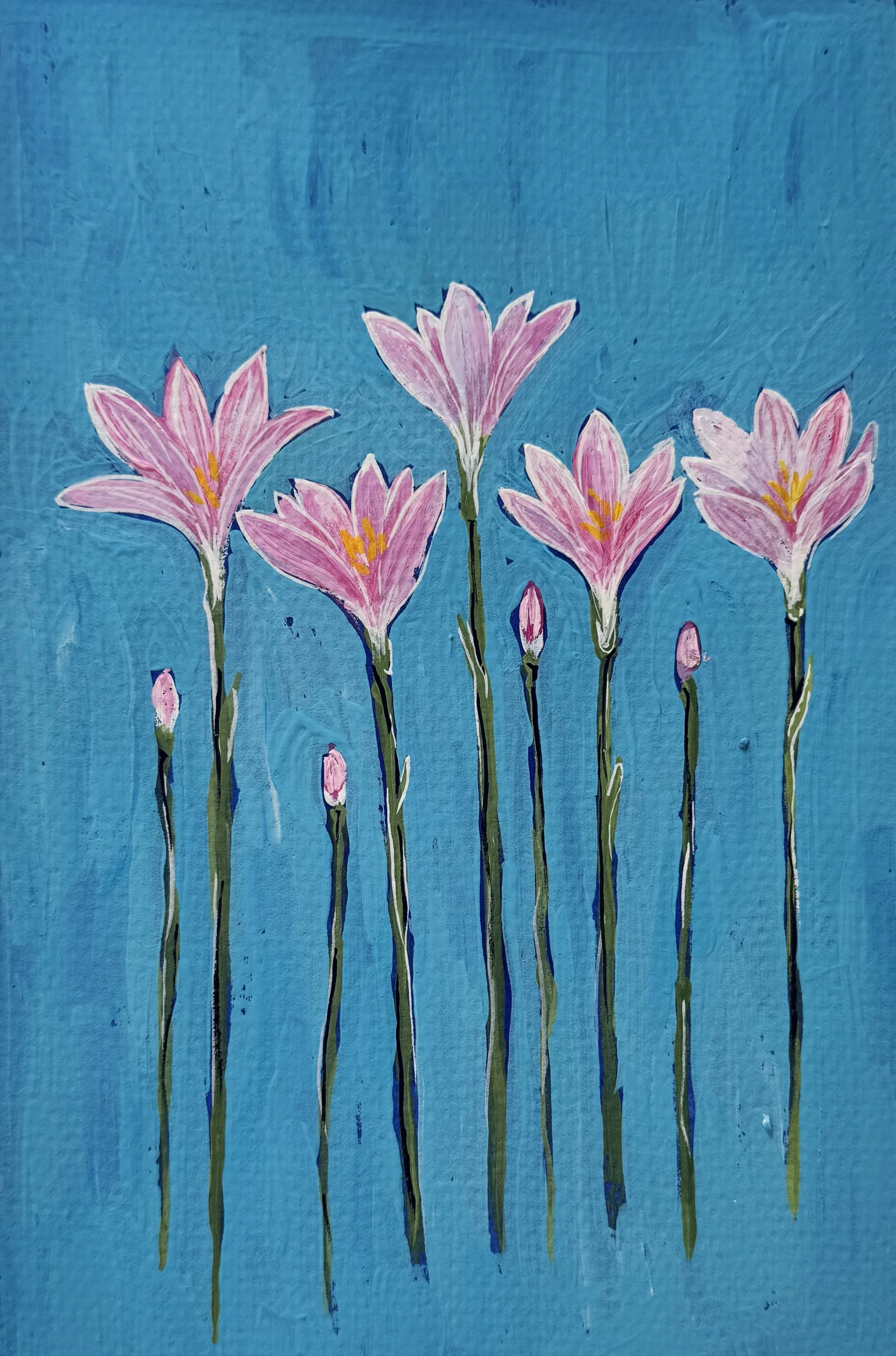 13 Rain Lily.jpeg (Copy)