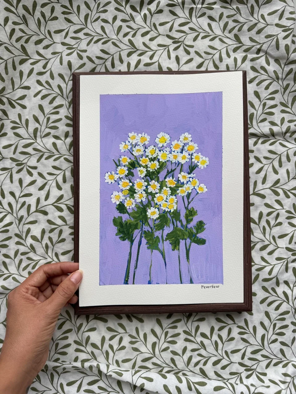 Feverfew–Day 45