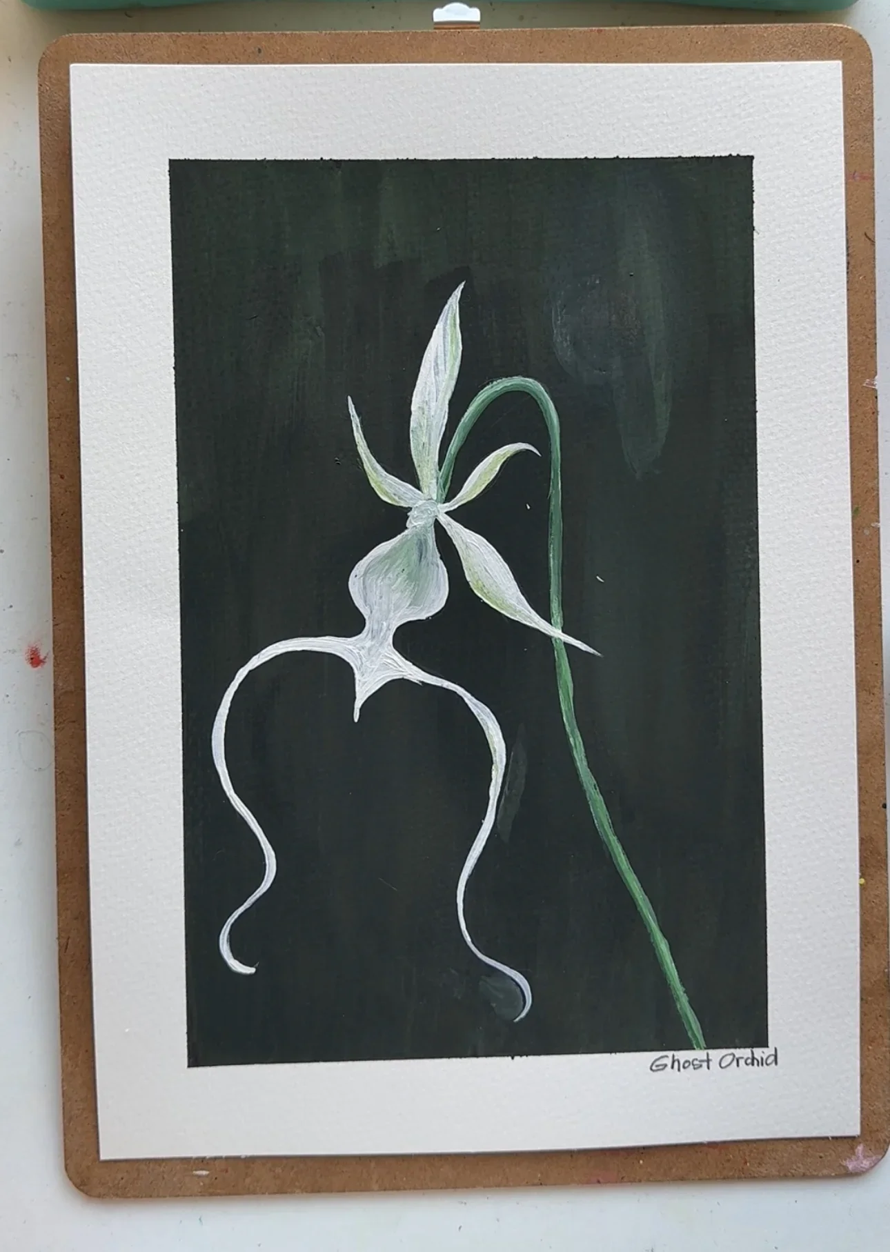 Ghost Orchid–Day 70