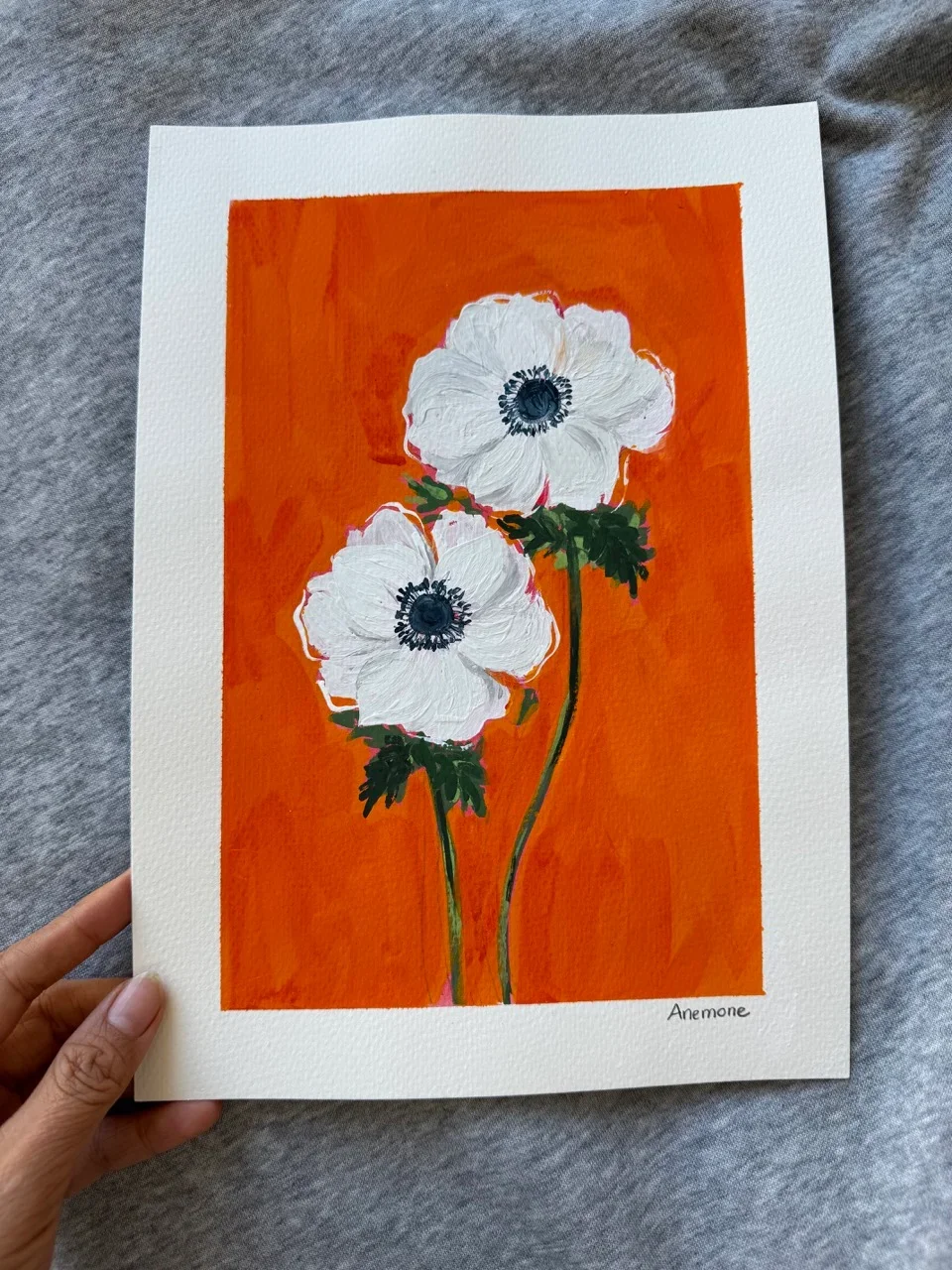 Anemone–Day 37