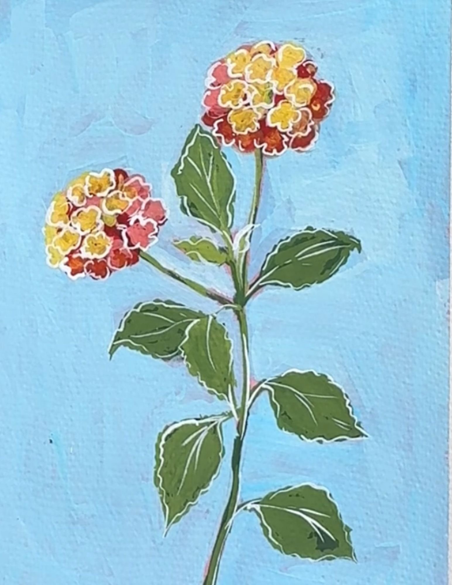 94a Lantana.jpg