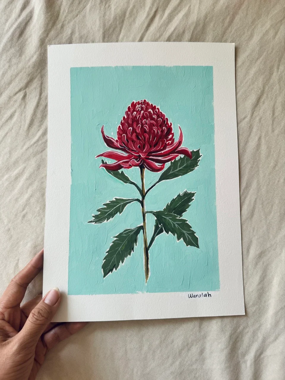 Waratah – Day 18