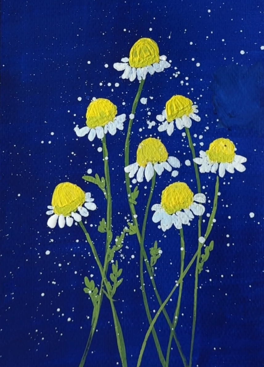 97+Chamomile.png