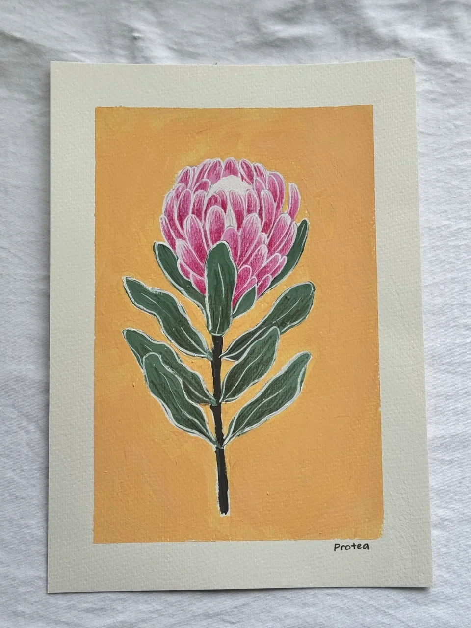 Protea – Day 22 b.webp